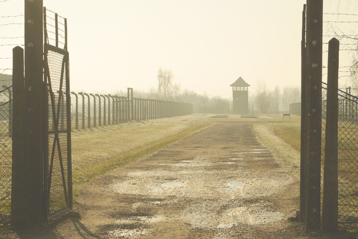 Ein schauriger Anblick: Das Konzentrationslager Auschwitz-Birkenau. (Foto: Initiative NieWieder)